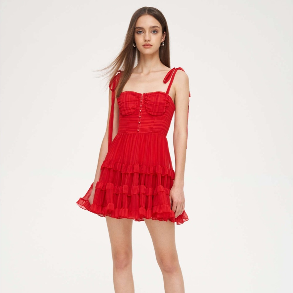NWT Cider Red Corset Dress with tying bows ( Lydia beetle juice dress )
